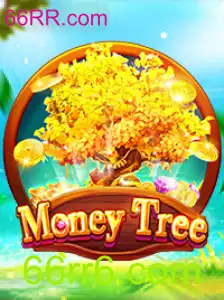 Explorando o Jogo MoneyTree: Sua Introdução e Regras